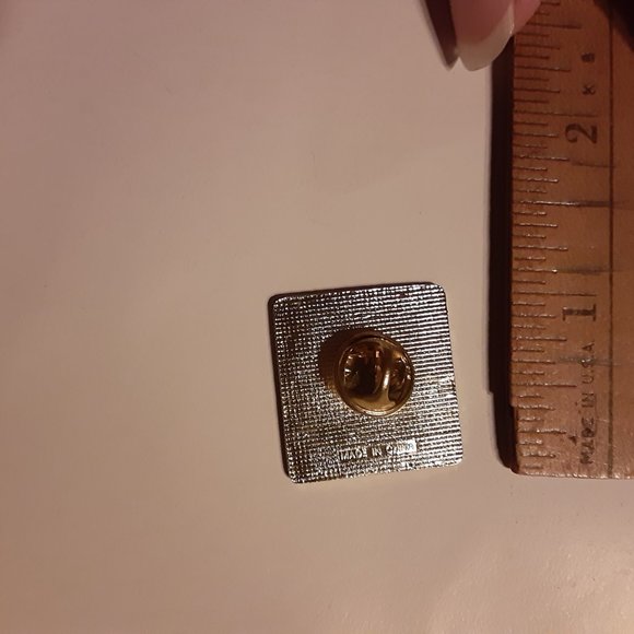 1" Black Back Spiderweb with Skull Spider - Picture 5 of 5